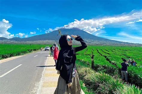 Tampaknya produsen teh terbesar dunia hanya bagian dari sejarah teh indonesia. Keindahan Kebun Teh Kayu Aro, Tertinggi ke-2 di Dunia
