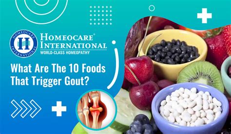 What Are The 10 Foods That Trigger Gout Arthritis