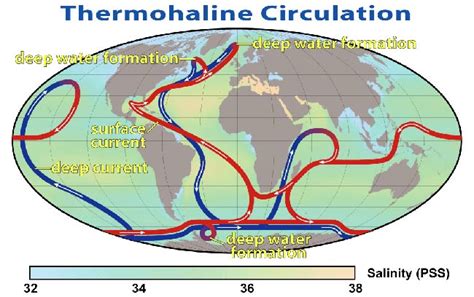 La Circulación Termohalina Y El Cambio Climático 🌊 🔃 ⚠️