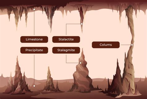 1 000 Stalactite Stock Illustrations Graphiques Vectoriels Libre De