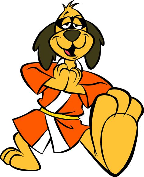 Hong Kong Phooey Classic Cartoon Characters American Cartoons