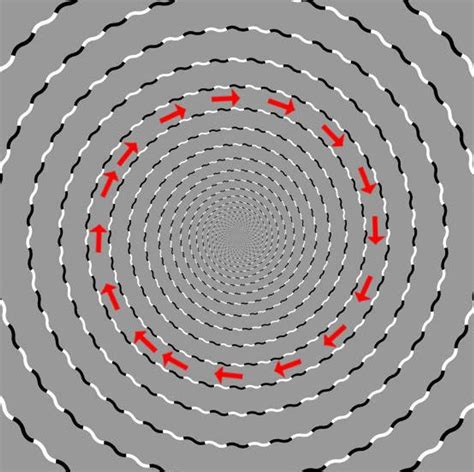 This New Optical Illusion Will Blow Your Mind Indy100 Indy100