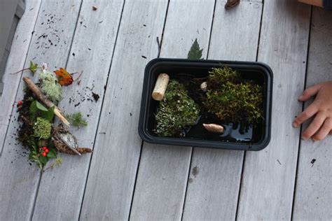 How To Make A Miniature Moss Garden Lucky Rock