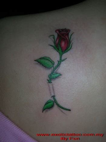 Botão de rosa loc sm. Tatuaje de una rosa con el tallo atravesando la piel ...