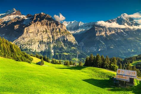 Stunning Green Field With High Snowy Mountains Grindelwald