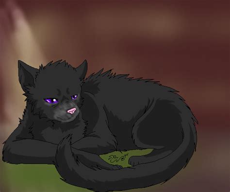 Nightpelt Of Speedclan By Invader Zonia On Deviantart