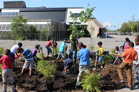 Tree Planting And Schoolyards A Considered Choice And A Winning