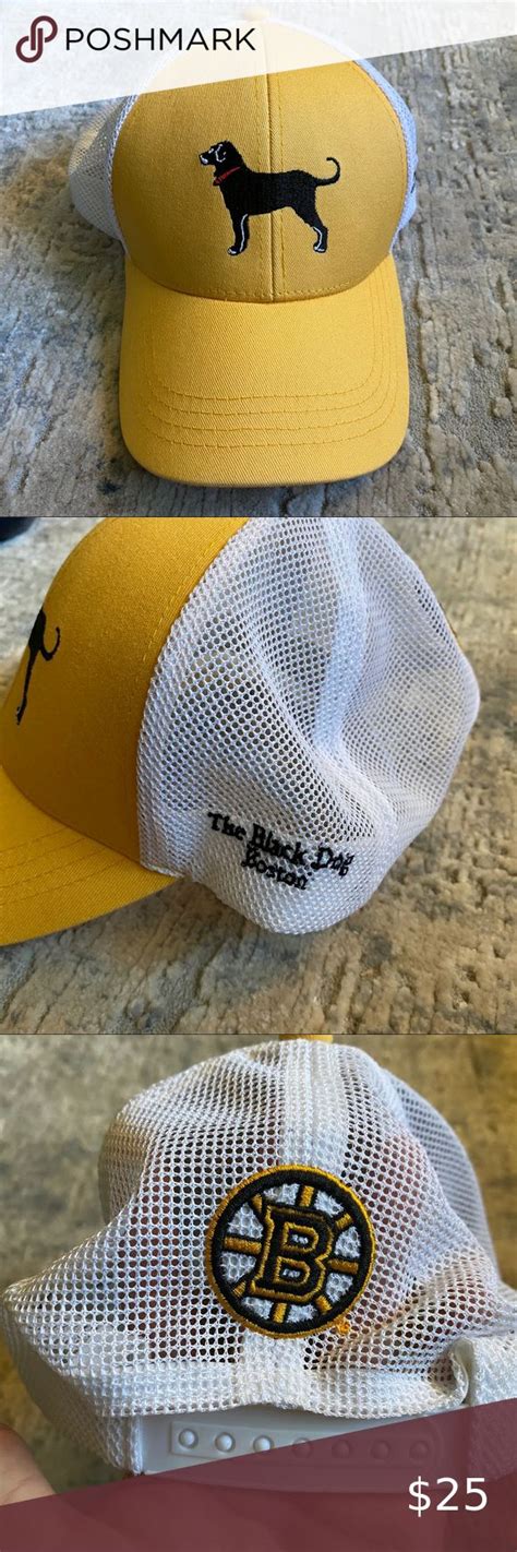 The Black Dog Boston Bruins Hat In 2020 Black Dog Hats Boston