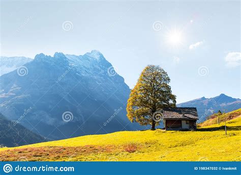 Picturesque Autumn Landscape In Grindelwald Village Stock Photo Image