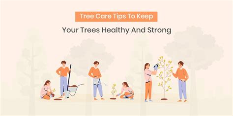 Important Tree Care Tips Keep Trees Healthy And Strong