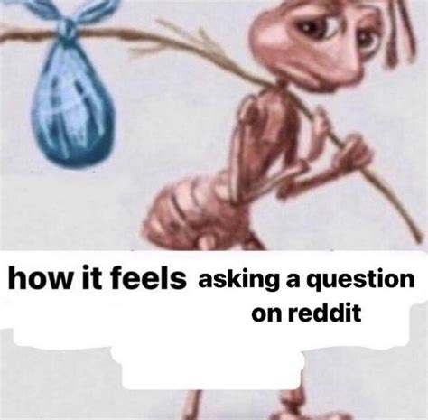 How It Feels Ant Meme Sad Ant With Bindle Homeless Ant How It