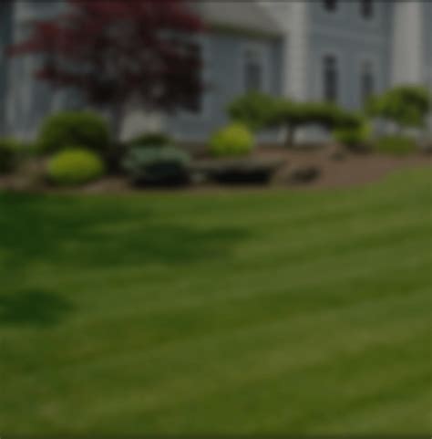 Reviews for pearland lawn care professionals. The best lawn care solution built for realtors and ...
