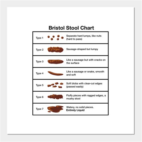 Bristol Stool Chart Bristol Stool Chart Poster Und Kunst Teepublic De