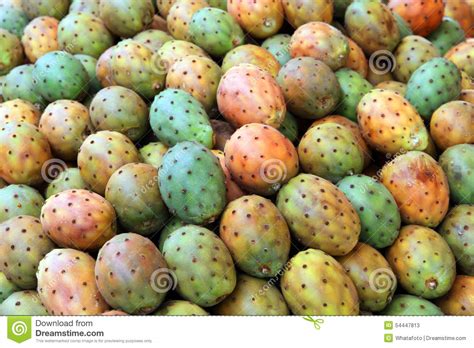 English names for the plant and its fruit are indian fig opuntia, barbary fig, cactus pear, spineless cactus, and prickly pear, although this last name has also been applied to. Cactus Fruits On Mediterranean Market Stock Image - Image ...