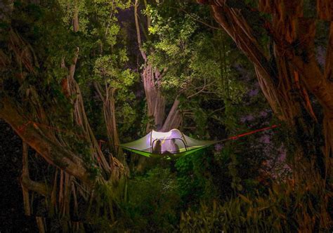 Tentsile Stingray Tree Tent 3 Person Capacity Off Road Tents