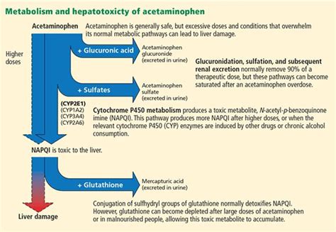 A Guide To Managing Acute Liver Failure Cleveland Clinic Journal Of