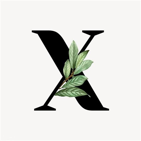Botanical Capital Letter X Vector Premium Image By Aum