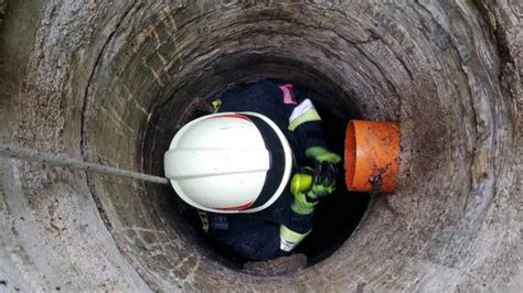 A Dog Came To The Rescue Of A Cat Who Was Stuck In A Drain Pipe Metro
