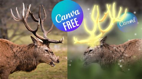 Glow Effect Canva Tutorial For Beginners Deer Antlers Glowing Effect