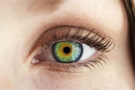 3 Datos Que No Sabías De Las Personas Que Tienen Los Ojos Verdes