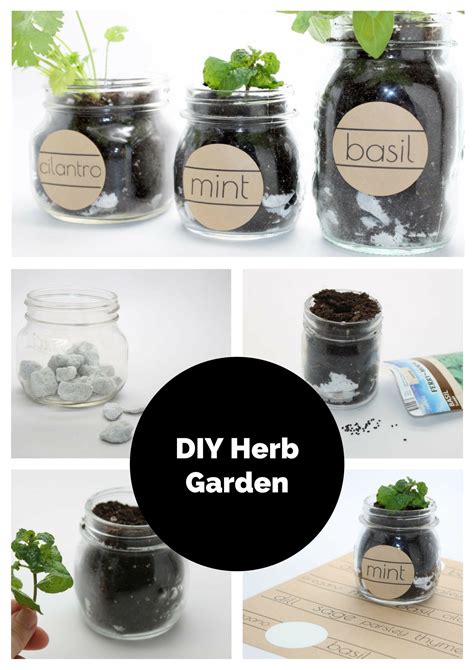 Four Jars With Plants In Them And The Words Diy Herb Garden