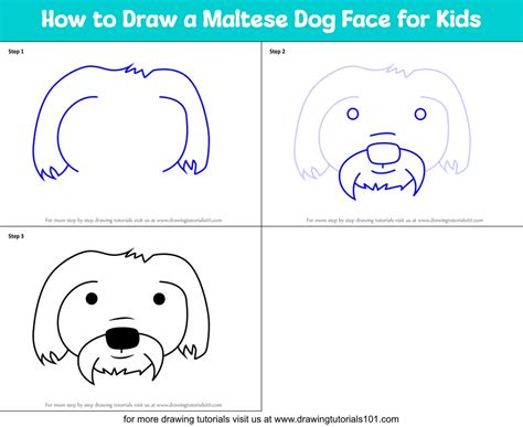 How To Draw A Maltese Dog Face For Kids Printable Step By Step Drawing