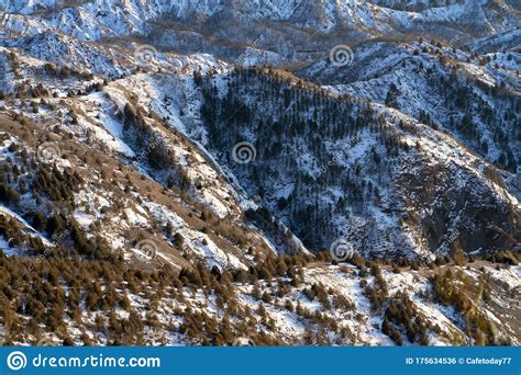 The View On The Mountain Top Is Covered With Snow Pine Trees In The