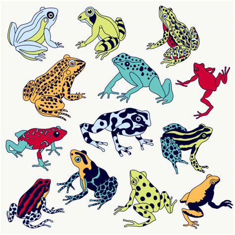 710 Frog Jump Icon Stock Illustrations Royalty Free Vector Graphics
