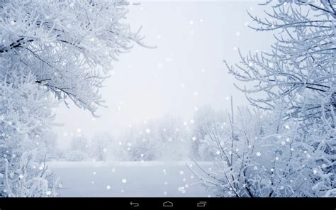 Cool Winter Background Natural Winter Wallpaper 720