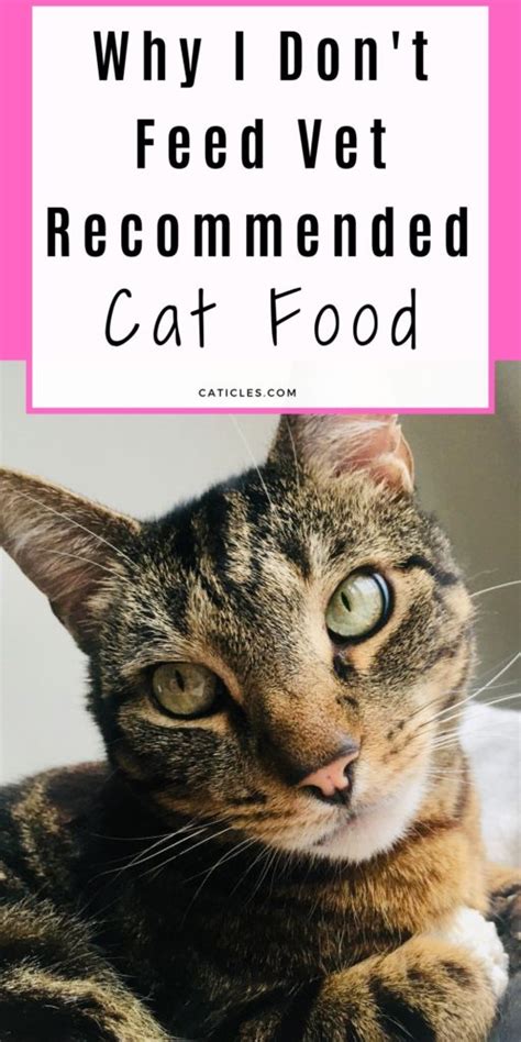 I was feeding all our cats the royal canin gastrointestinal food. 5 Reasons Your Vet Recommended Cat Food is Complete Garbage