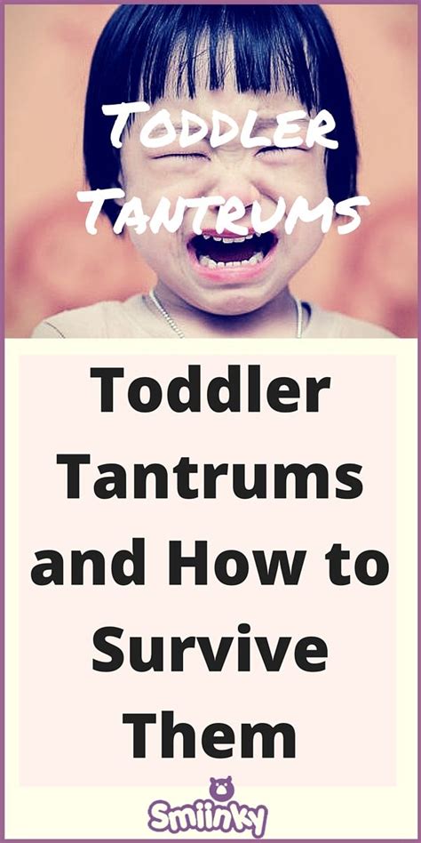 Heres Your Guide On Navigating Through These Tricky Toddler Tantrums