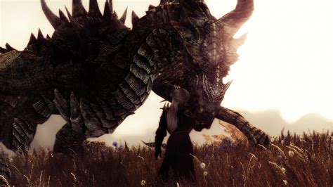 Dovahkiin And Paarthurnax At Skyrim Nexus Mods And Community