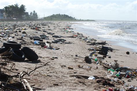 O Principal Impacto Ambiental Causado Pelo Descarte Inadequado Dos Materiais