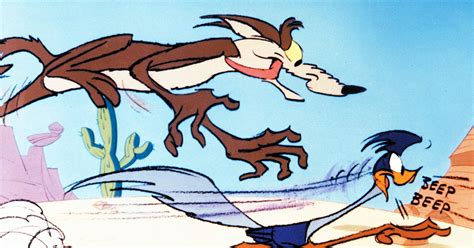 coyote warner bros looney tunes chuck jones road runner willie e animation art and characters