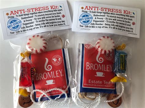 Anti Stress Kit Gag T Bags Funny Silly Prank Goody Bags Etsy