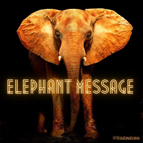 A Channeled Message From The Elephant Spirit Guide Reading 4 5 Etsy
