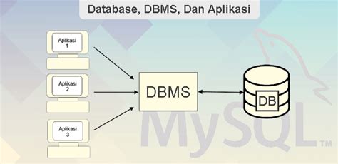 Memahami Basis Data Database Dbms Dan Program Aplikasi Di Mysql