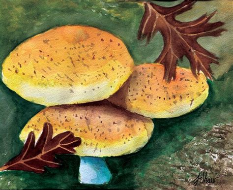 3 Mushrooms Prints Of Original Paintings By Jo Shaw Original