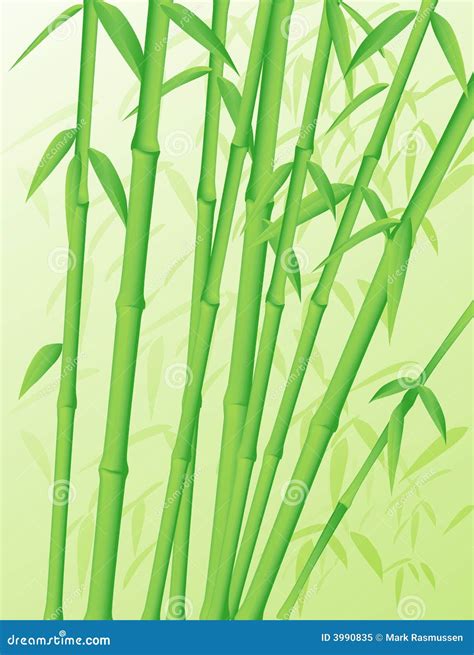 Tiges En Bambou Illustration De Vecteur Illustration Du Nature