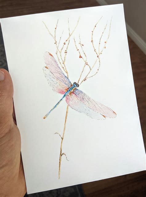 Dragonfly Watercolor Painting Print From Original Watercolor Etsy