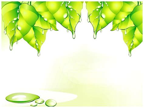 Green Backgrounds For Ppt Wallpaper Cave