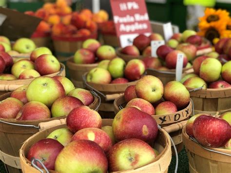 Michigan apple orchard guide for U-pick apples, cider mills - mlive.com