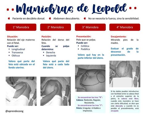 Edad Gestacional Altura Uterina Maniobras De Leopold Udocz The Best Porn Website