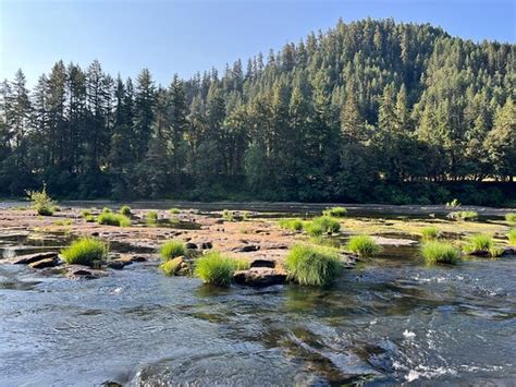 Fotos De Umpqua Imágenes Destacadas De Umpqua Oregón Tripadvisor