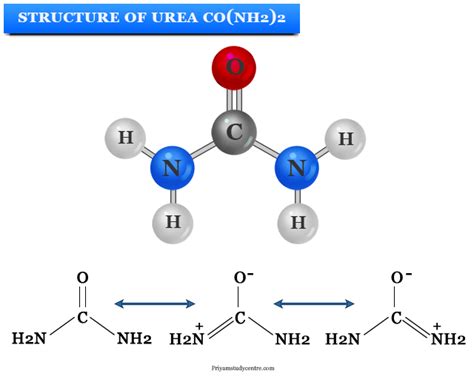 urea formula uses structure production