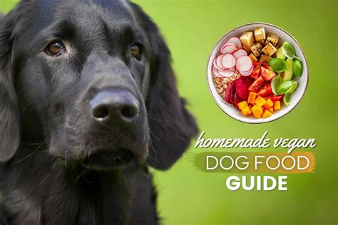 Homemade Vegan Dog Food Guide 9 Vet Approved Recipes Ingredients