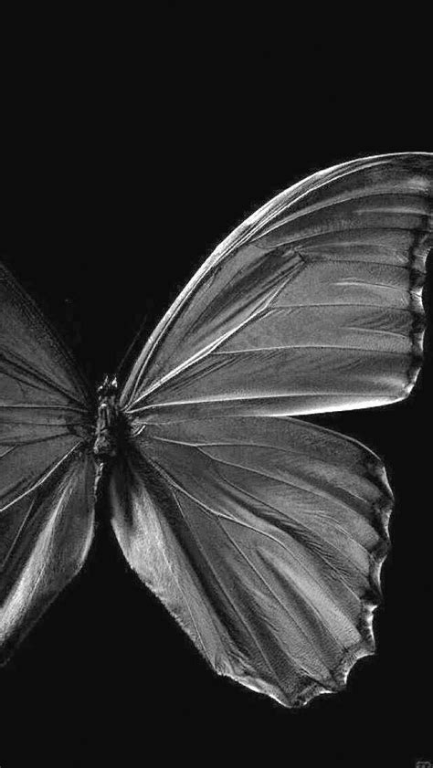 S Blackandwhiteinsectphotography Black Butterfly Black And White