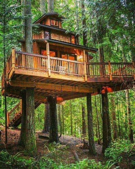 Summer Living Luxury Tree Houses