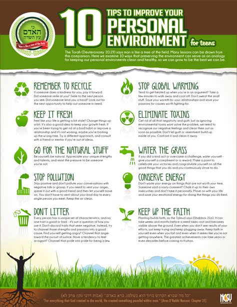 Improve Your Environmental Wellness Tips And Tricks To Create A