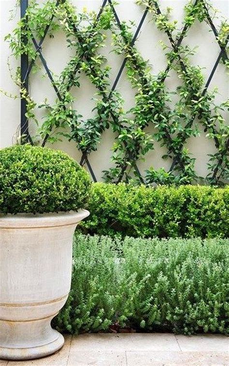 42 Creative Ideas To Turn Your Outdoor Space Into Heaven With Vine